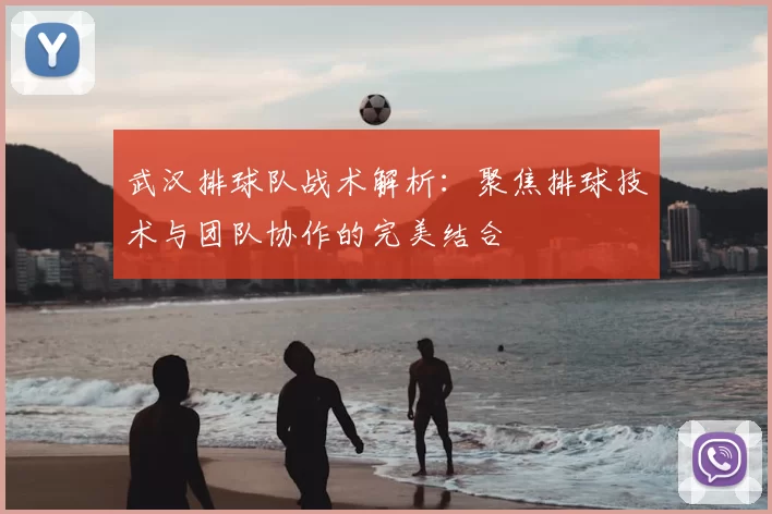 武汉排球队战术解析：聚焦排球技术与团队协作的完美结合