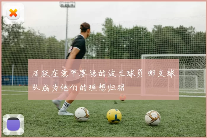 活跃在意甲赛场的波兰球员 哪支球队成为他们的理想归宿
