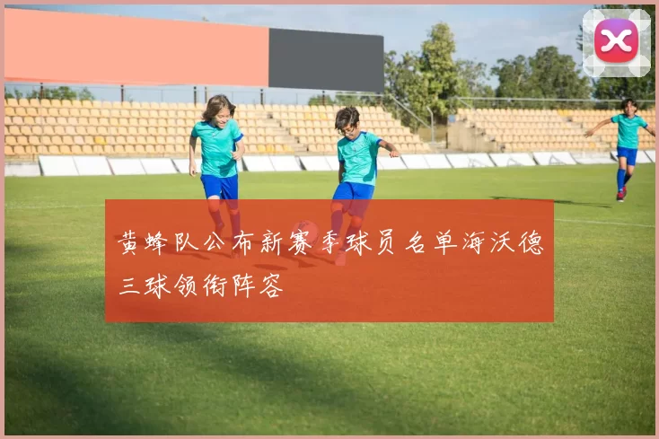 黄蜂队公布新赛季球员名单海沃德三球领衔阵容