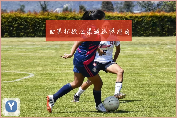 世界杯投注渠道选择指南