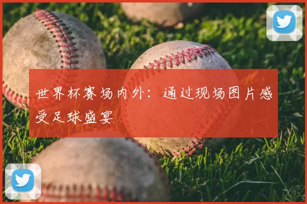 世界杯赛场内外：通过现场图片感受足球盛宴