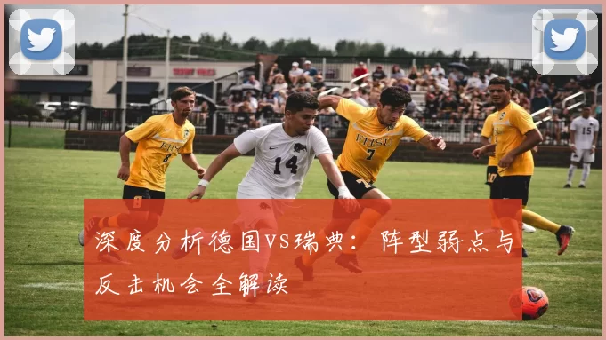 深度分析德国vs瑞典：阵型弱点与反击机会全解读