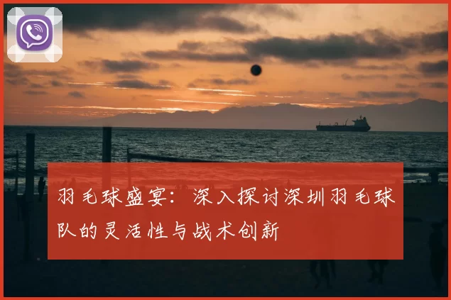 羽毛球盛宴：深入探讨深圳羽毛球队的灵活性与战术创新