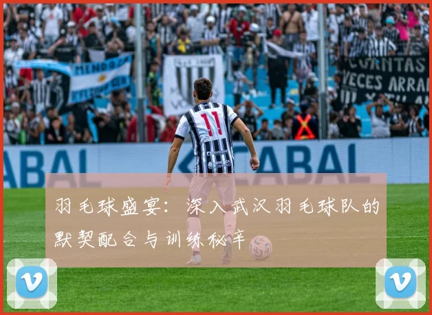 羽毛球盛宴：深入武汉羽毛球队的默契配合与训练秘辛