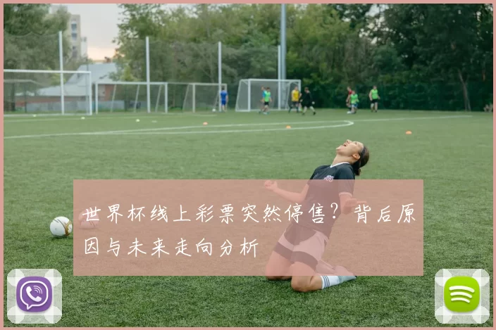 世界杯线上彩票突然停售？背后原因与未来走向分析