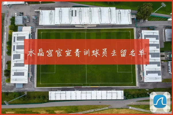 水晶宫官宣青训球员去留名单