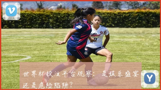世界杯投注平台观察：是娱乐盛宴还是危险陷阱？