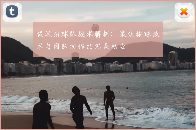武汉排球队战术解析：聚焦排球技术与团队协作的完美结合