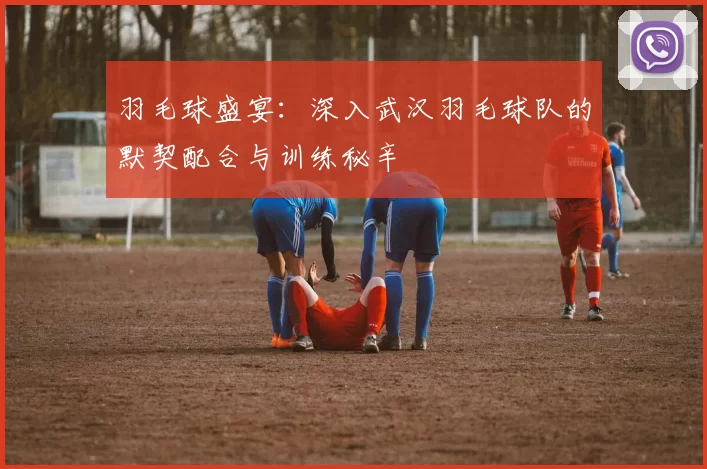 羽毛球盛宴：深入武汉羽毛球队的默契配合与训练秘辛
