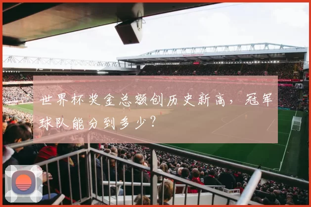 世界杯奖金总额创历史新高，冠军球队能分到多少？