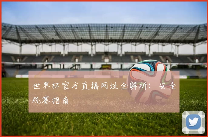 世界杯官方直播网址全解析：安全观赛指南