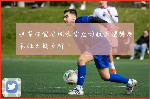 世界杯官方玩法背后的数据逻辑与获胜关键分析