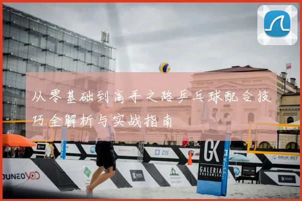 从零基础到高手之路乒乓球配合技巧全解析与实战指南